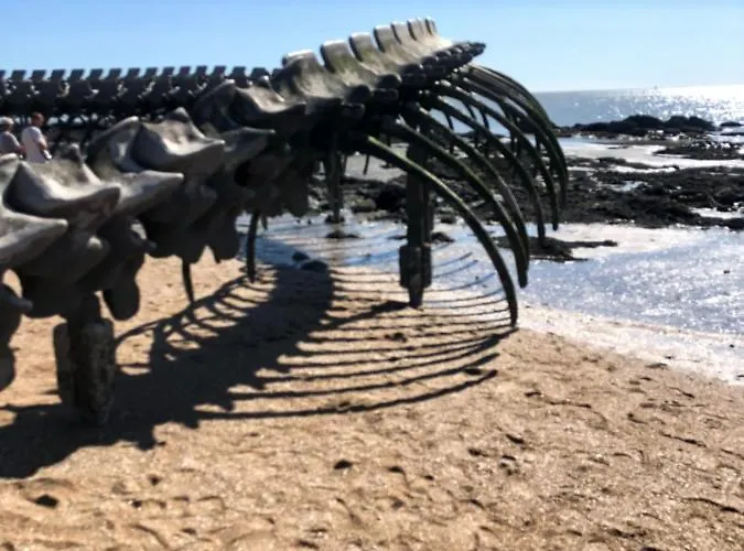 Casa de hóspedes La Prefaillaise